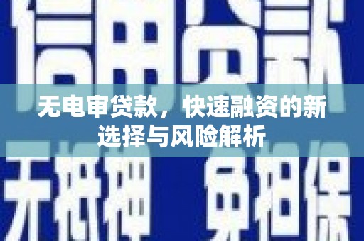 泰武无电审贷款，快速融资的新选择与风险解析