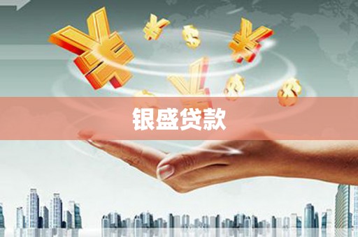湛河银盛贷款