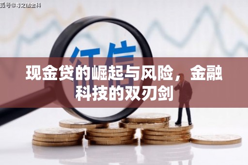 虾峙现金贷的崛起与风险，金融科技的双刃剑
