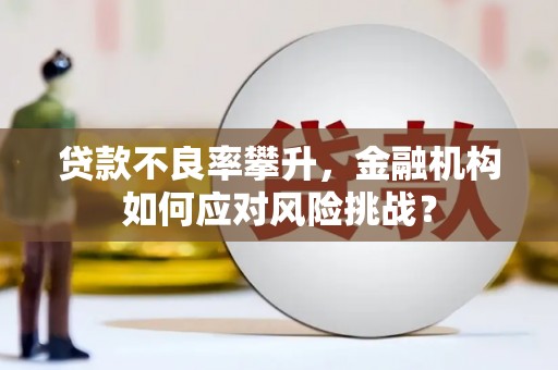 五原贷款不良率攀升，金融机构如何应对风险挑战？