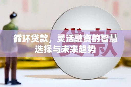 大丰循环贷款，灵活融资的智慧选择与未来趋势