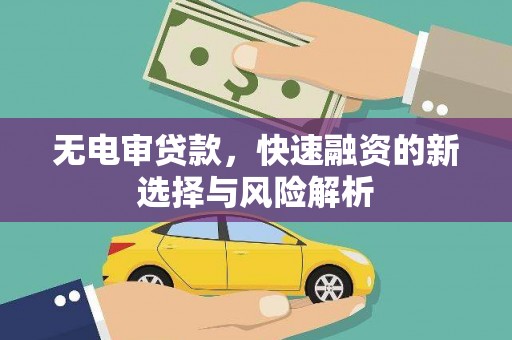 武陵源无电审贷款，快速融资的新选择与风险解析