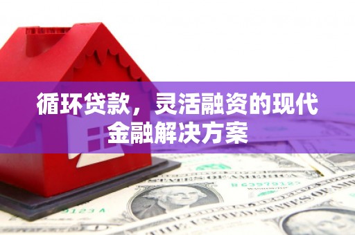 溧水循环贷款，灵活融资的现代金融解决方案