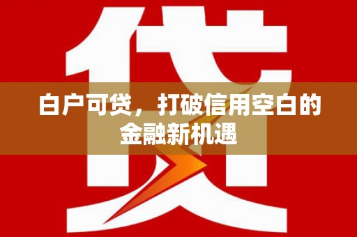 静海白户可贷，打破信用空白的金融新机遇