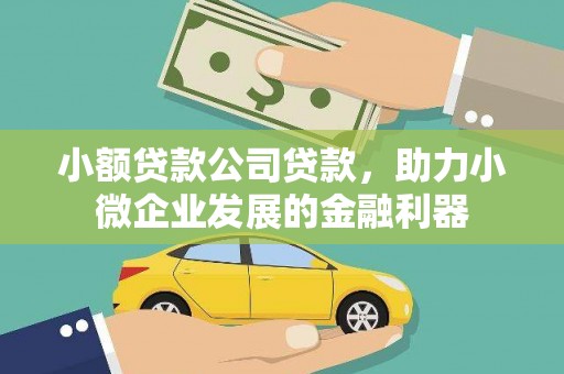 长涂小额贷款公司贷款，助力小微企业发展的金融利器