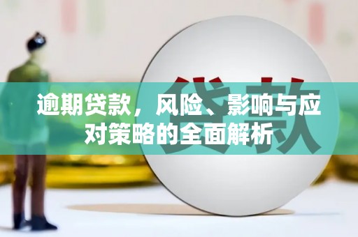 南县逾期贷款，风险、影响与应对策略的全面解析