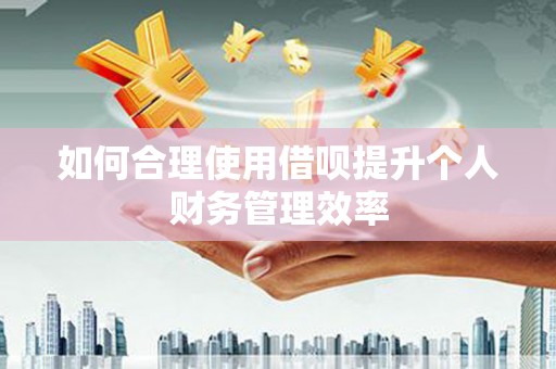 界首如何合理使用借呗提升个人财务管理效率