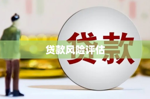兰屿贷款风险评估