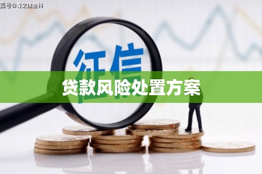 三亚贷款风险处置方案