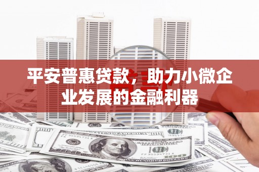 沛县平安普惠贷款，助力小微企业发展的金融利器