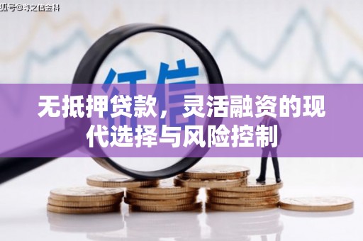 沛县无抵押贷款，灵活融资的现代选择与风险控制