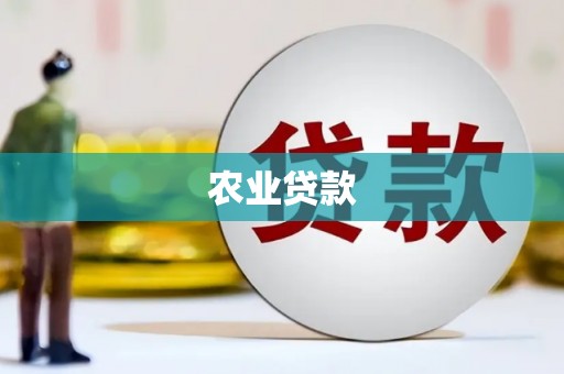 埔心农业贷款