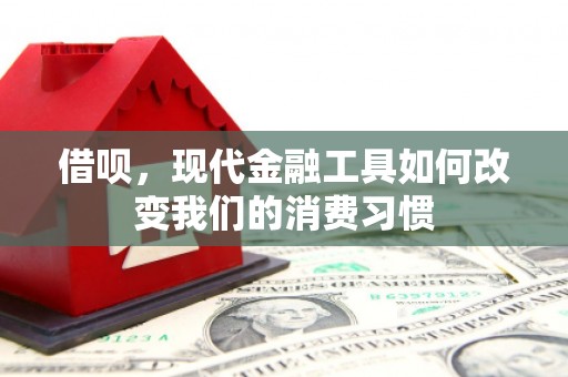 华坪借呗，现代金融工具如何改变我们的消费习惯