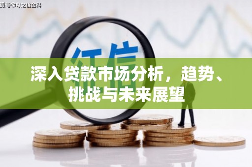 华坪深入贷款市场分析，趋势、挑战与未来展望