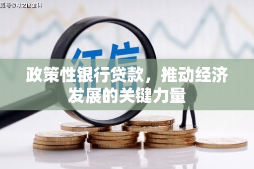 霍州政策性银行贷款，推动经济发展的关键力量