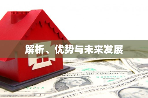 丹棱解析、优势与未来发展