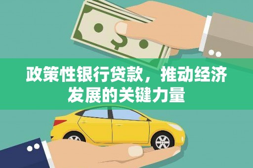 札达政策性银行贷款，推动经济发展的关键力量