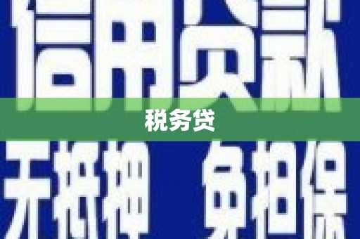 横山税务贷