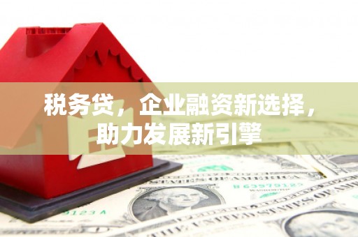 横山税务贷，企业融资新选择，助力发展新引擎