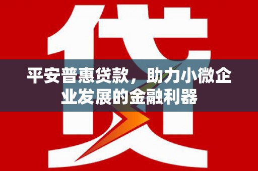 果洛平安普惠贷款，助力小微企业发展的金融利器