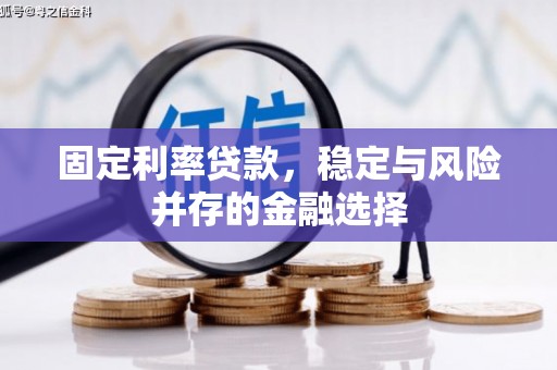 潮南固定利率贷款，稳定与风险并存的金融选择