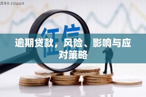 大武逾期贷款，风险、影响与应对策略