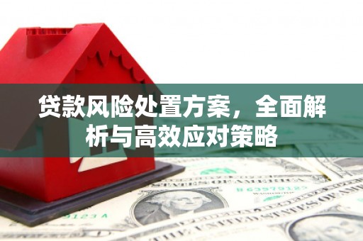 果洛贷款风险处置方案，全面解析与高效应对策略