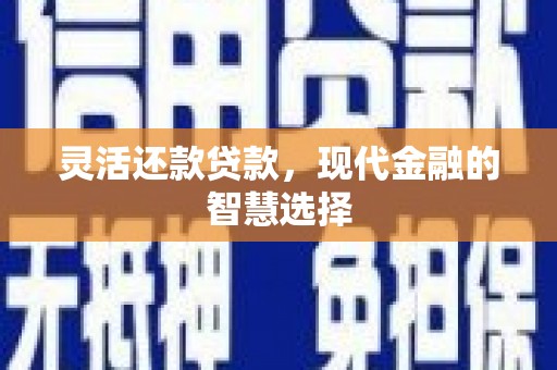天峨灵活还款贷款，现代金融的智慧选择