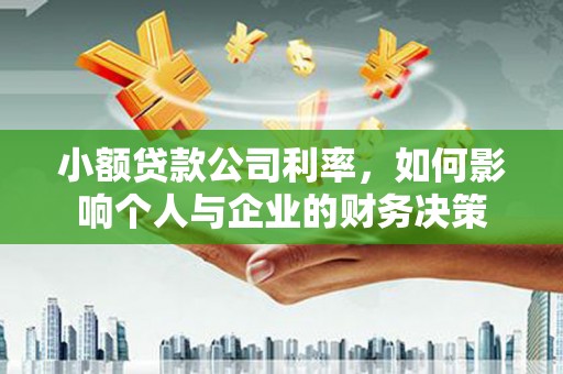 南县小额贷款公司利率，如何影响个人与企业的财务决策