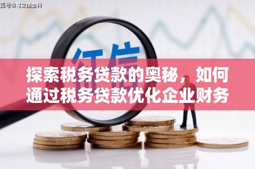 宁陕探索税务贷款的奥秘，如何通过税务贷款优化企业财务