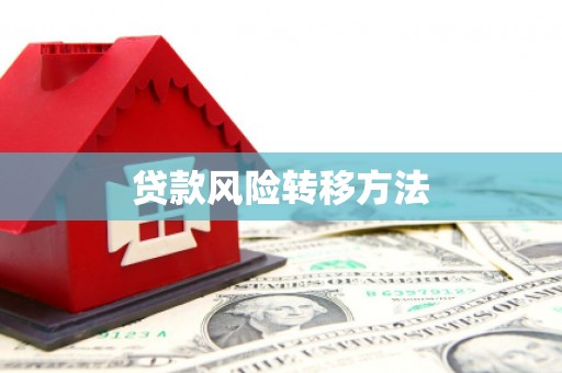南县贷款风险转移方法