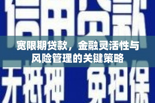 武隆宽限期贷款，金融灵活性与风险管理的关键策略