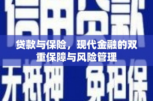 靖州贷款与保险，现代金融的双重保障与风险管理