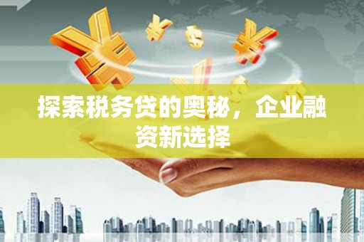 靖州探索税务贷的奥秘，企业融资新选择
