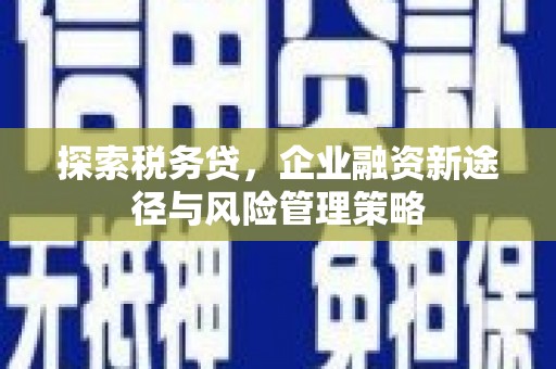 神木探索税务贷，企业融资新途径与风险管理策略