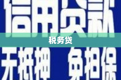 兰考税务贷