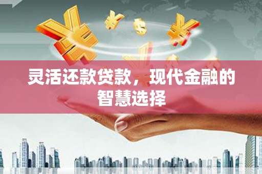 南山灵活还款贷款，现代金融的智慧选择