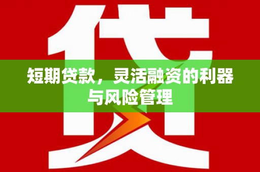 中原短期贷款，灵活融资的利器与风险管理