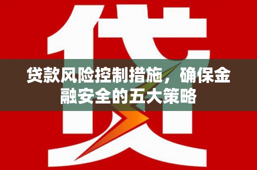 射阳贷款风险控制措施，确保金融安全的五大策略