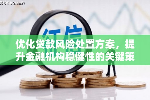 中原优化贷款风险处置方案，提升金融机构稳健性的关键策略