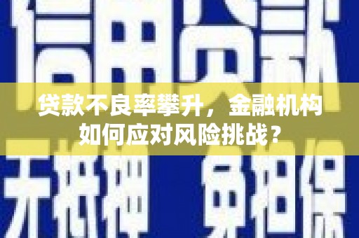 射阳贷款不良率攀升，金融机构如何应对风险挑战？