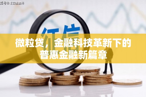 射阳微粒贷，金融科技革新下的普惠金融新篇章