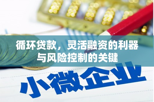 崇阳循环贷款，灵活融资的利器与风险控制的关键