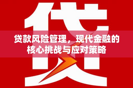 泸定贷款风险管理，现代金融的核心挑战与应对策略