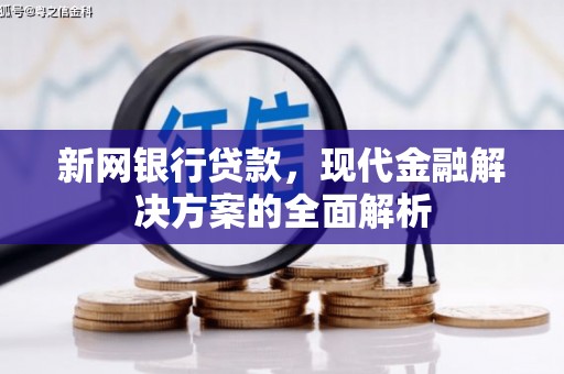 东台新网银行贷款，现代金融解决方案的全面解析