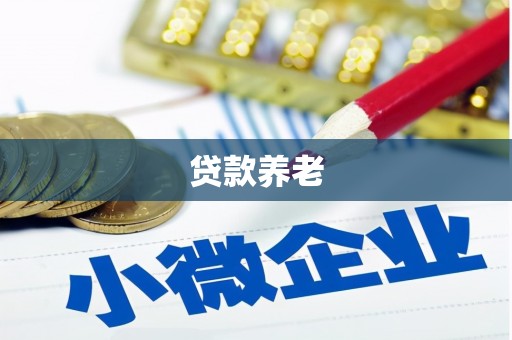 武陵源贷款养老