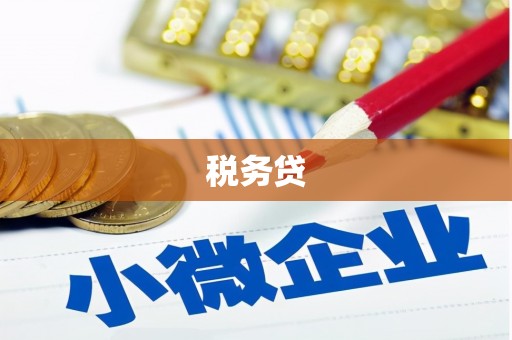 武陵源税务贷