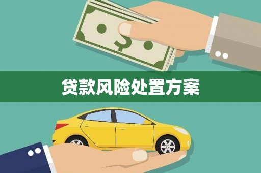 噶尔贷款风险处置方案