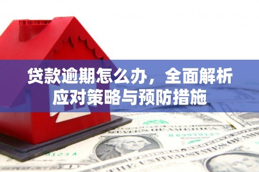 武陵源贷款逾期怎么办，全面解析应对策略与预防措施