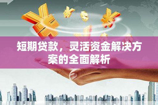 惠济短期贷款，灵活资金解决方案的全面解析